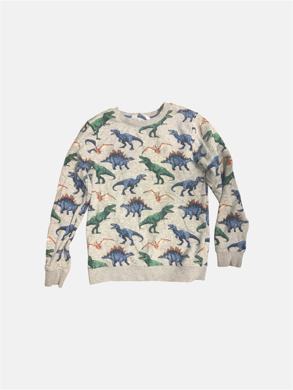 H&M Gray Kids Sweatshirt with Blue, Green & Red Dinosaur Print